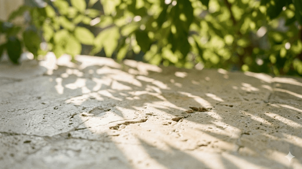 Abstract, contemplative photograph of light and shadow